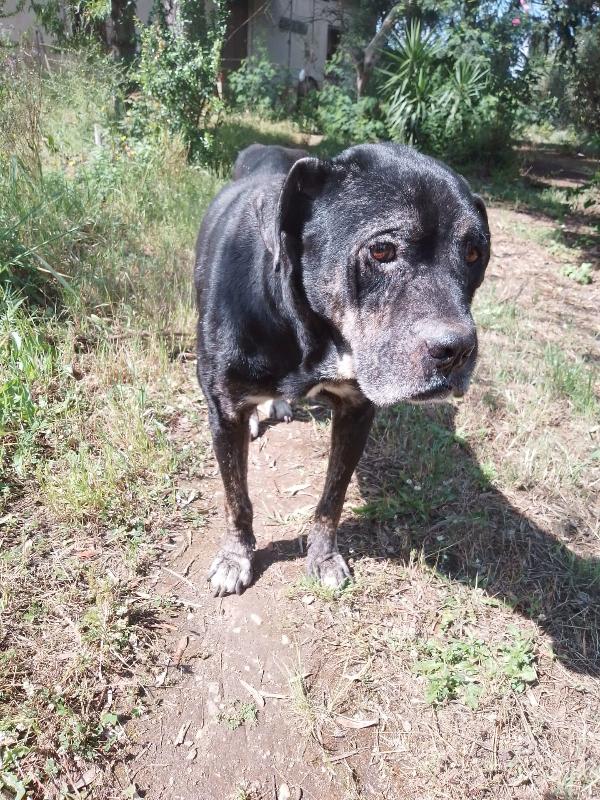 💔 Igor ha perso il suo angelo custode, ora rischia di restare solo 💔 Foto 5